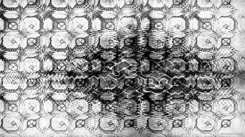 image: an image