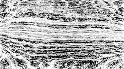 Fourth of '4.0 A collection autoscan 1'.