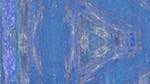 Fifth of 'reflets — msg — variations 1 backing 0 1'.