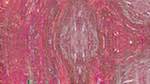 Sixth of 'reflets — msg — variations 1 backing 0 1'.