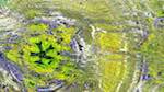 Third of 'reflets — msg — variations 1 backing 0 3'.
