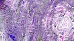 Fourth of 'reflets — msg — variations 1 backing 0 3'.