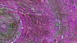 Fifth of 'reflets — msg — variations 1 backing 0 4'.