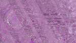 Seventh of 'reflets — msg — variations 1 backing 0 5'.