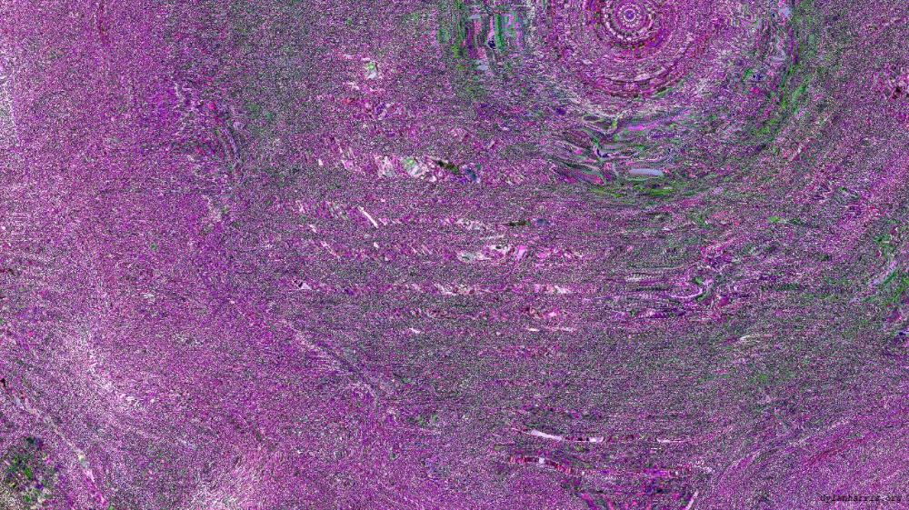 Image 'reflets — msg — variations 1 backing 0 6 1'.