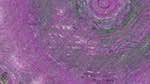 First of 'reflets — msg — variations 1 backing 0 6'.
