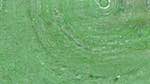 Sixth of 'reflets — msg — variations 1 backing 0 6'.