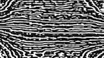 Fifth of 'reflets — msg — processing effects 0 black n white 1'.