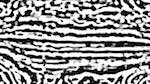 Third of 'reflets — msg — processing effects 0 black n white 3'.