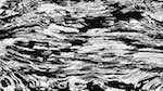 Eighth of 'reflets — msg — processing effects 0 black n white 3'.