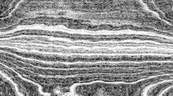 Second of '4.0 A collection bk movie texture exp 1'.