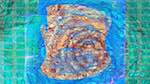 Eighth of 'reflets — msg — variations 1 boxed 2'.