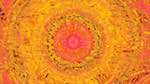 First of 'reflets — msg — variations 1 burnish 1'.