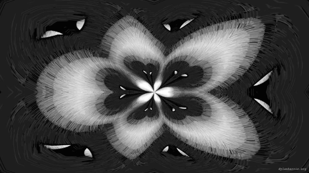 Image 'reflets — msg — variations 0 bw attractor 2 1'.