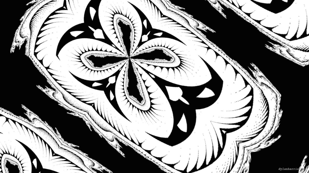 Image 'reflets — msg — variations 0 bw attractor 2 4'.
