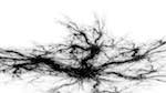 Second of 'reflets — msg — variations 0 bw attractor 2'.