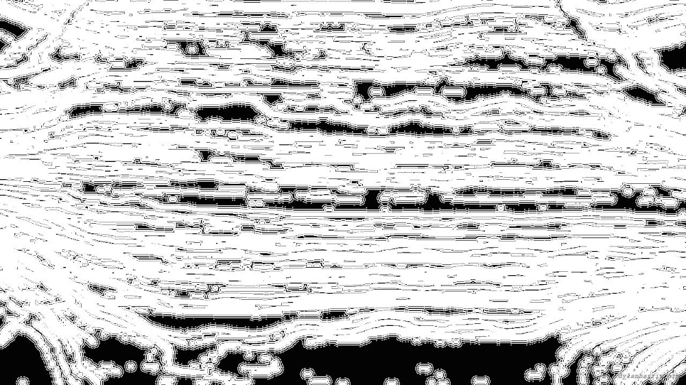 Image 'reflets — msg — processing effects 0 bw chamfer 1 2 6'.