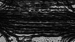 image: an image