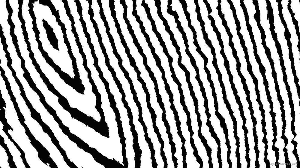 Image 'reflets — msg — processing effects 0 bw chamfer 1 3 8'.