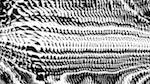 Sixth of 'reflets — msg — processing effects 0 bw chamfer 1 3'.