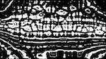 First of 'reflets — msg — processing effects 0 bw chamfer 1 4'.