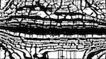 Second of 'reflets — msg — processing effects 0 bw chamfer 1 4'.