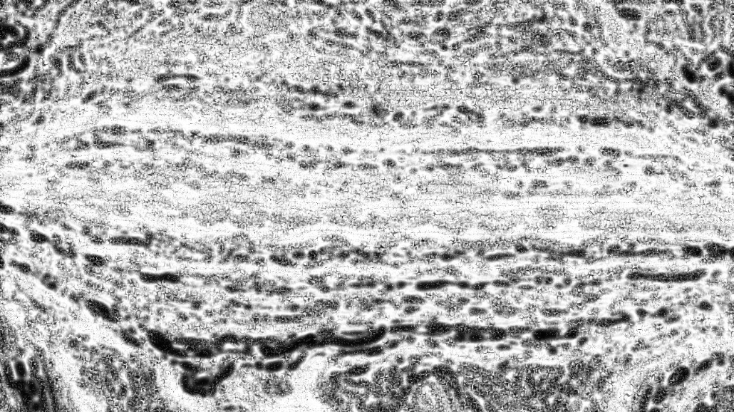 image: an image