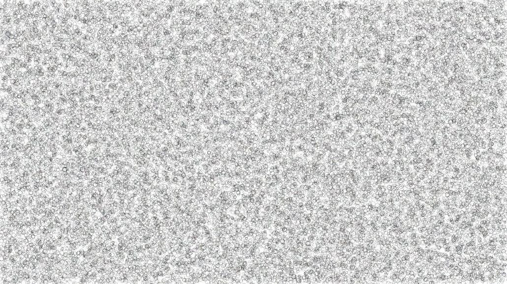 image: an image