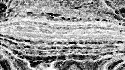 Fourth of 'reflets — paint synthesiser classic — 3.0 collection bw effects 2'.
