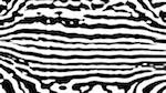 Third of 'reflets — msg — processing effects 1 bw form 1 1'.