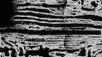 Second of 'reflets — msg — processing effects 1 bw form 1 1'.