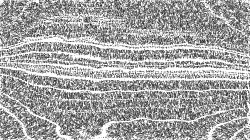 Image 'reflets — paint synthesiser classic — 2.0 collection BW hatch 1 2'.