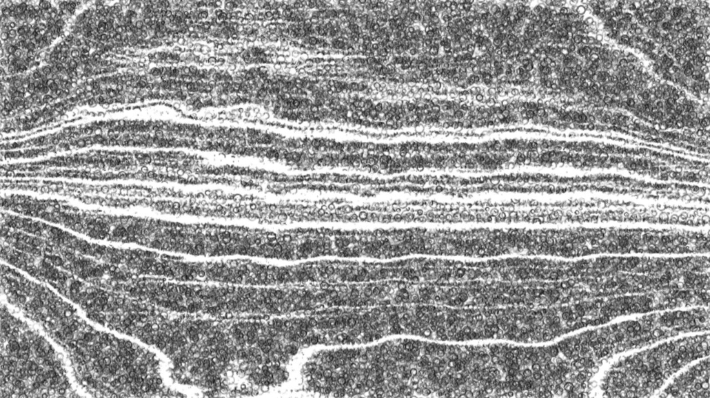 Image 'reflets — paint synthesiser classic — 2.0 collection BW hatch 1 3'.