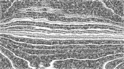Third of 'reflets — paint synthesiser classic — 2.0 collection BW hatch 1'.