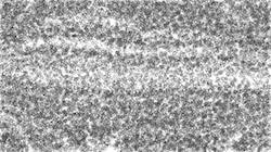 Sixth of 'reflets — paint synthesiser classic — 2.0 collection BW hatch 1'.