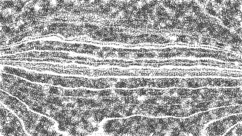 image: an image