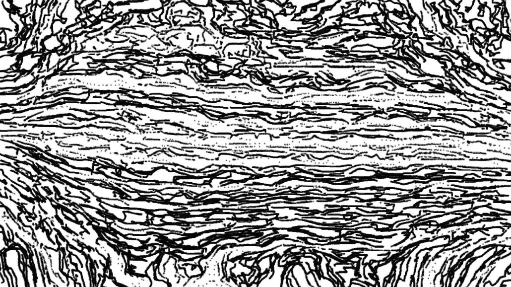 image: an image