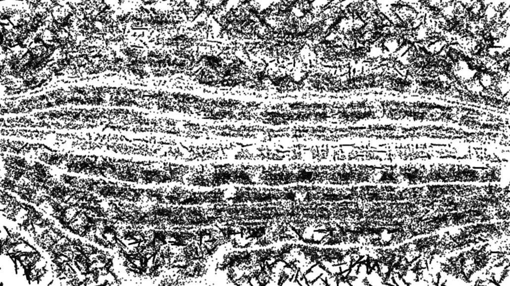 image: an image
