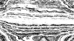 image: an image