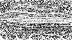 image: an image