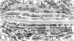 image: an image