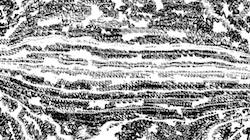 image: an image