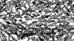 image: an image