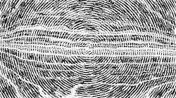 First of 'reflets — paint synthesiser classic — 2.0 collection BW hatch 1 3'.