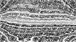 Third of 'reflets — paint synthesiser classic — 2.0 collection BW hatch 1 3'.