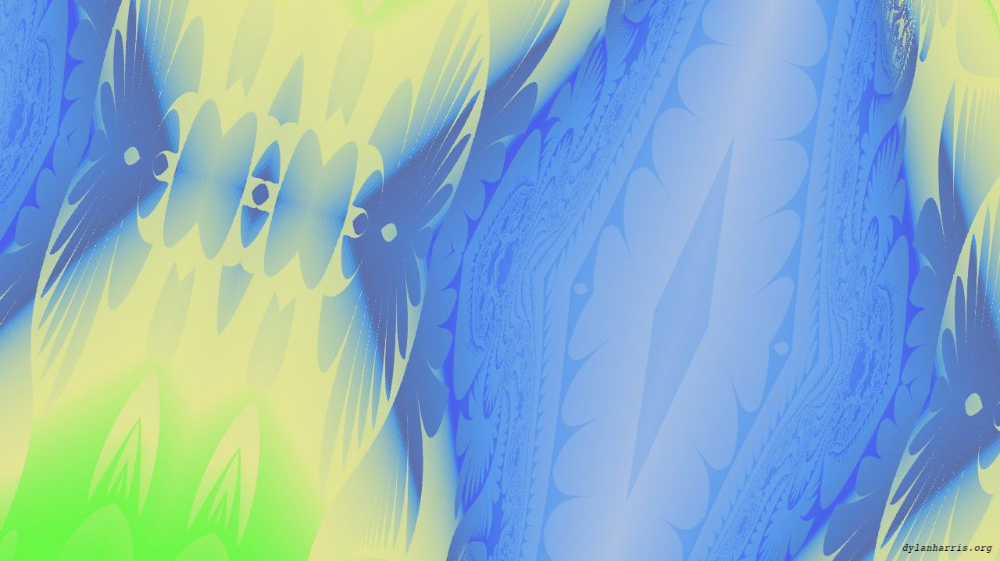 Image 'reflets — msg — variations 0 complex attractors 2 8'.
