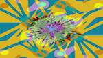 First of 'reflets — msg — variations 0 complex attractors 4'.