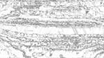 Sixth of 'reflets — msg — processing effects 1 ca noise proc 1'.