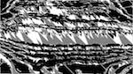 Seventh of 'reflets — msg — processing effects 1 ca noise proc 1'.
