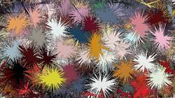 Second of 'reflets — paint synthesiser classic — users chuck’s autodraw regions as brush'.